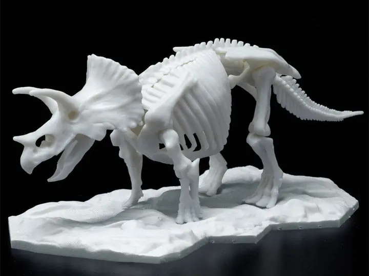 Bandai Dinosaur Limex Skeleton Triceratops Model Kit 1