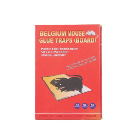 Belgium Mouse Glue Traps (Board) 1