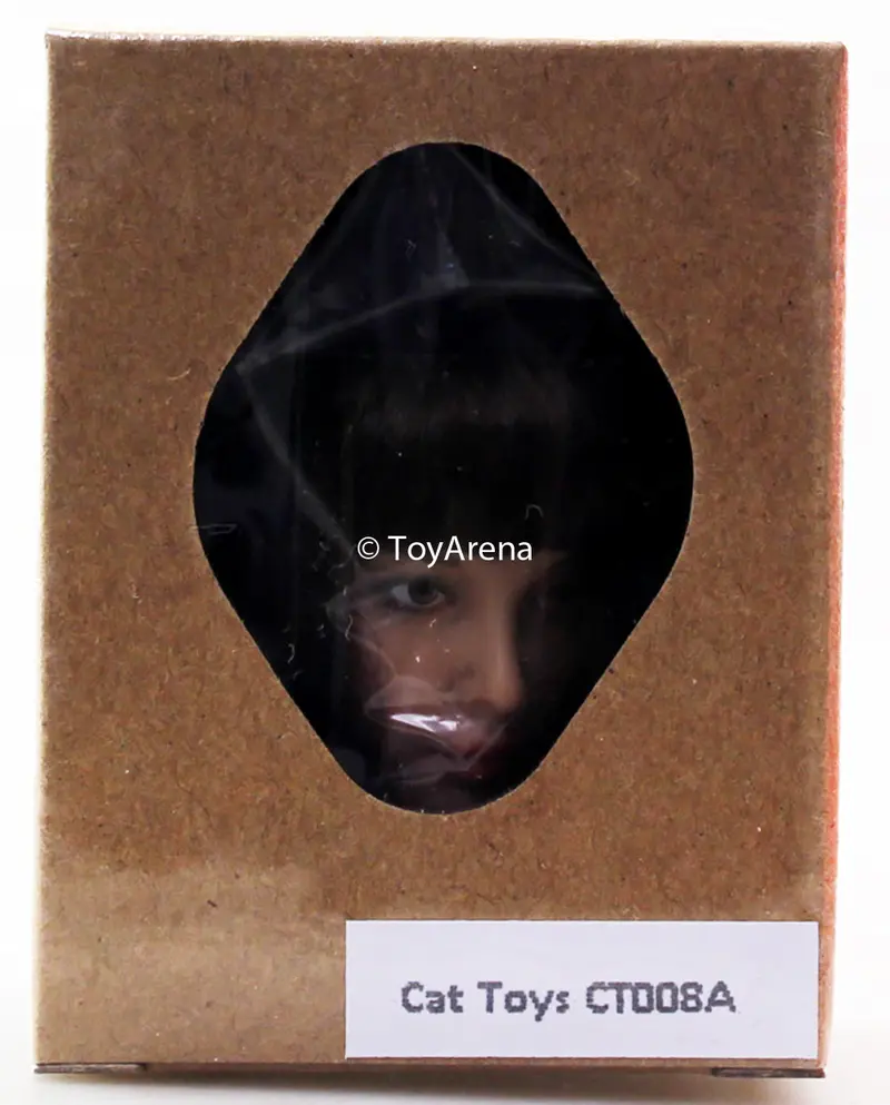 Cat Toys 1/6 Ct-008A Female Asian Head Sculpt Scale Figure 1