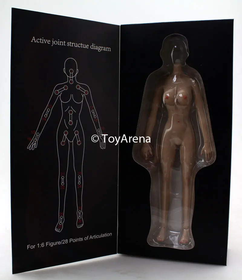 Jiaou Doll 1/6 Seamless Female Body 3.0 Big Bust (Natural) Sixth Scale Figure 1