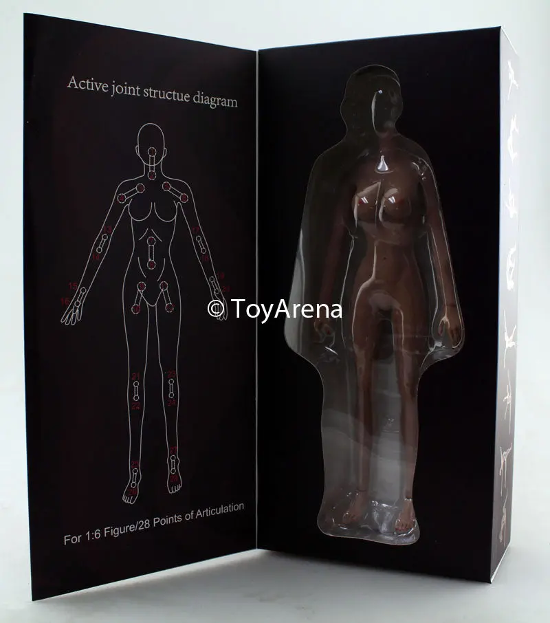 Jiaou Doll 1/6 Seamless Female Body 3.0 Big Bust (Wheaton) Sixth Scale Figure 1
