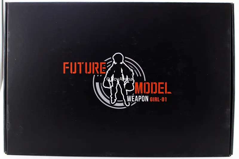 M.J.H Future Model Weapon Girl 01 & 1/144 Rg Parts For Red Astray 1