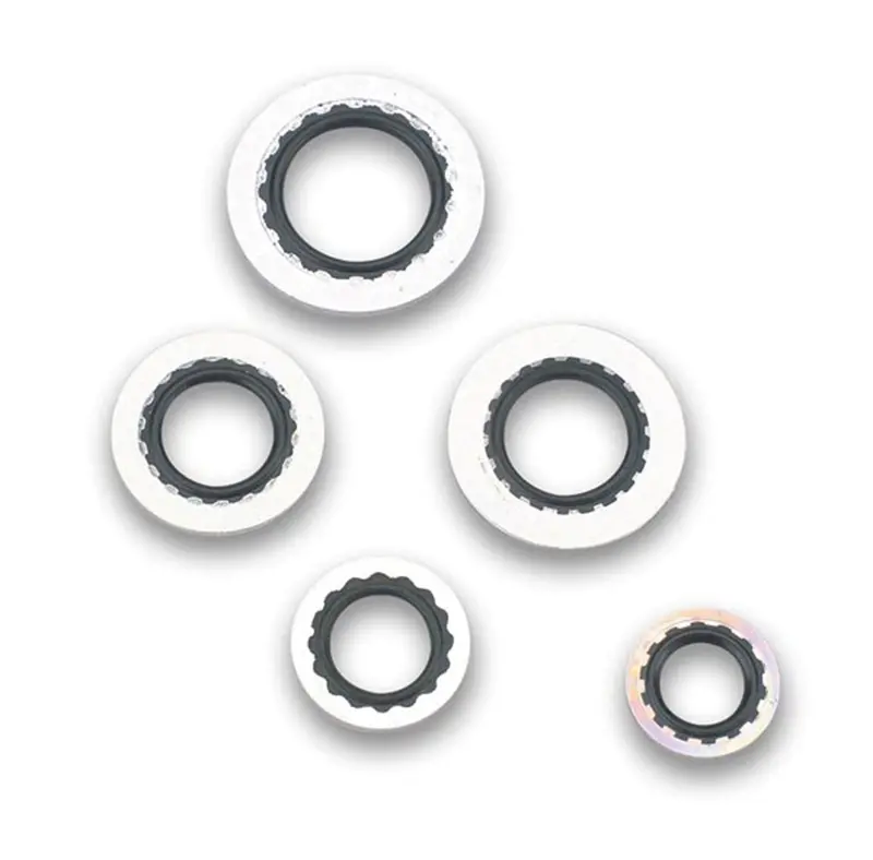 Earl’S 178006Erl Stat-O-Seal -3An Fitting Kit – 3/8-Inch Id, Bagged (2-Pack) 1